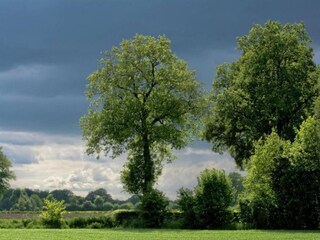 Type de propriété : Ferme Geesteren Environnement 31