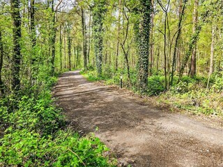 Bauernhof Geesteren Umgebung 28