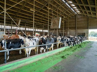 Fattoria Geesteren Ambiente 27