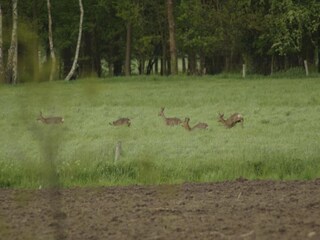 Bauernhof Geesteren Umgebung 23