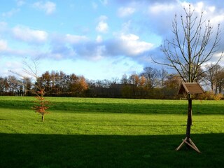 Farmhouse Geesteren Outdoor Recording 5