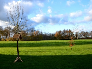 Farmhouse Geesteren Outdoor Recording 5