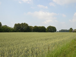 Boerderij Geesteren Buitenaudio-opname 2
