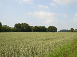 Boerderij Geesteren Buitenaudio-opname 5