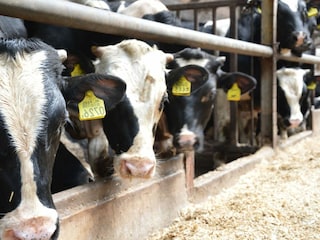 Bauernhof Geesteren Umgebung 19