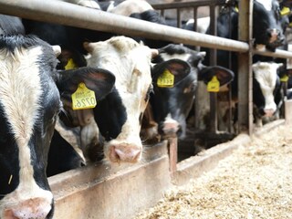 Boerderij Geesteren Omgeving 21
