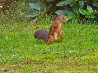 Ferienhaus Holten Umgebung 30