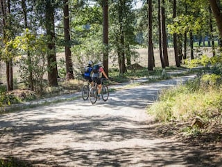 Holiday house Holten Environment 36