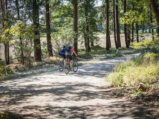 Vakantiehuis Holten Omgeving 36