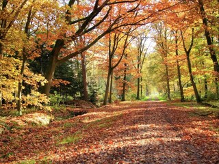 Vakantiehuis Holten Omgeving 23