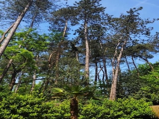 Holiday house Holten Environment 31