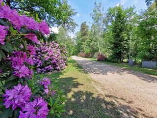 Maison de vacances Holten Environnement 24