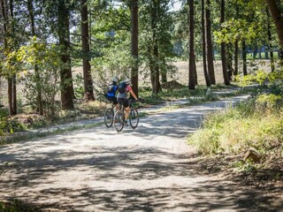 Vakantiehuis Holten Omgeving 27