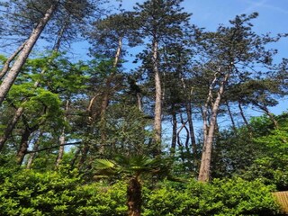 Maison de vacances Holten Environnement 24