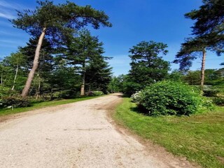 Vakantiehuis Holten Omgeving 36