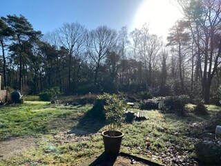 Vakantiehuis Holten Omgeving 38