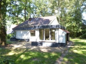 Holiday house Modernes Ferienhaus in Haaksbergen mit Garten - Haaksbergen - image1