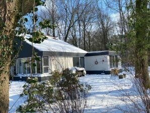 Holiday house Modern Holiday Home in Haaksbergen with Garden - Haaksbergen - image1