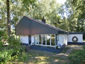 Modernes Ferienhaus in Haaksbergen mit Garten - Haaksbergen - image1