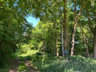 Vakantiehuis Haaksbergen Omgeving 22