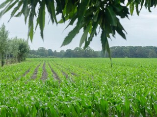 Ferienhaus Haaksbergen Umgebung 32