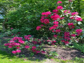 Maison de vacances Haaksbergen Environnement 27
