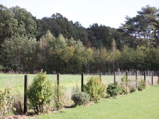 Holiday house Haaksbergen Environment 25
