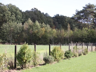 Maison de vacances Haaksbergen Environnement 35