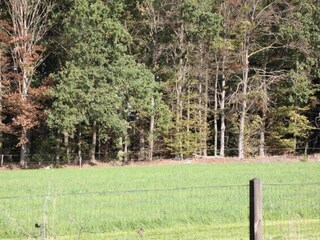 Maison de vacances Haaksbergen Environnement 29