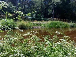 Holiday house Haaksbergen Environment 26