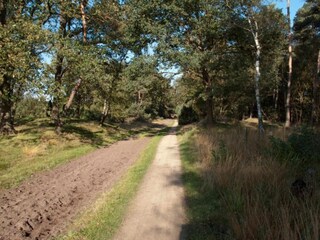 Vakantiehuis Haaksbergen Omgeving 36