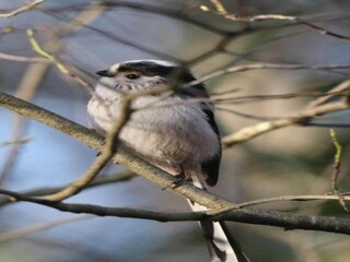Vakantiehuis Haaksbergen Omgeving 33
