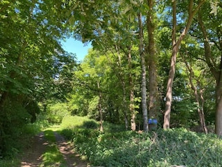 Ferienhaus Haaksbergen Umgebung 27