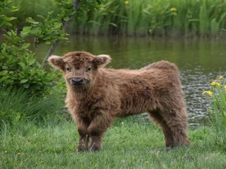 Casa per le vacanze Haaksbergen Ambiente 32