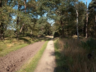 Ferienhaus Haaksbergen Umgebung 35