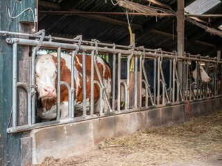 Appartement Hengelo  33