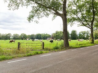 Apartamento Hengelo Entorno 29