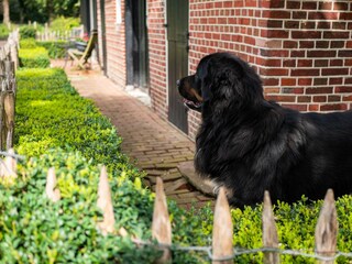 Appartamento Hengelo  29