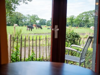 Appartamento Hengelo Registrazione all'aperto 7