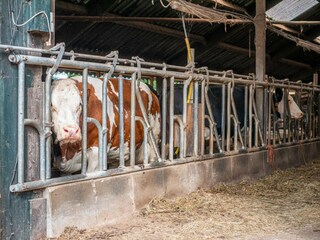 Appartement Hengelo  33