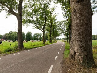 Appartamento Hengelo Ambiente 28