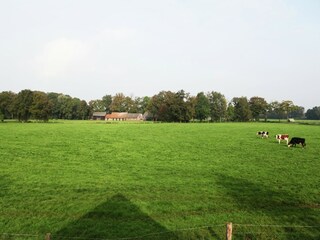 Apartamento Hengelo Grabación al aire libre 2