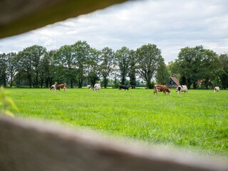 Appartamento Hengelo  31