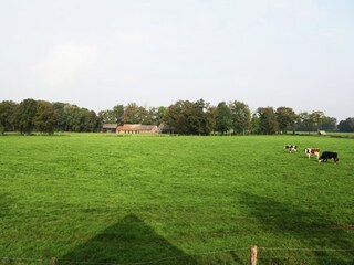 Apartamento Hengelo Grabación al aire libre 8