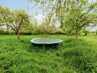 Boerderij Hengelo Buitenaudio-opname 8