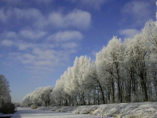 Vakantiehuis Ootmarsum Omgeving 28
