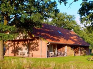 Modernes Ferienhaus in Geesteren mit Terrasse - Ootmarsum - image1