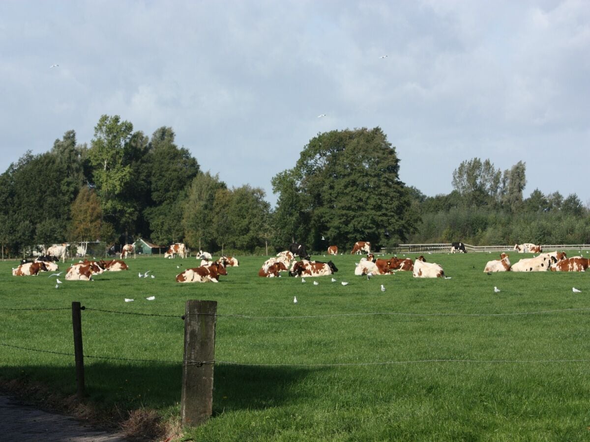 Ferienhaus Ootmarsum Umgebung 26