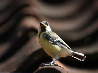 Ferienhaus Ootmarsum Umgebung 32