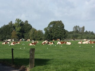 Vakantiehuis Ootmarsum Omgeving 20